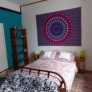 Apartman Esőerdő Apartman 